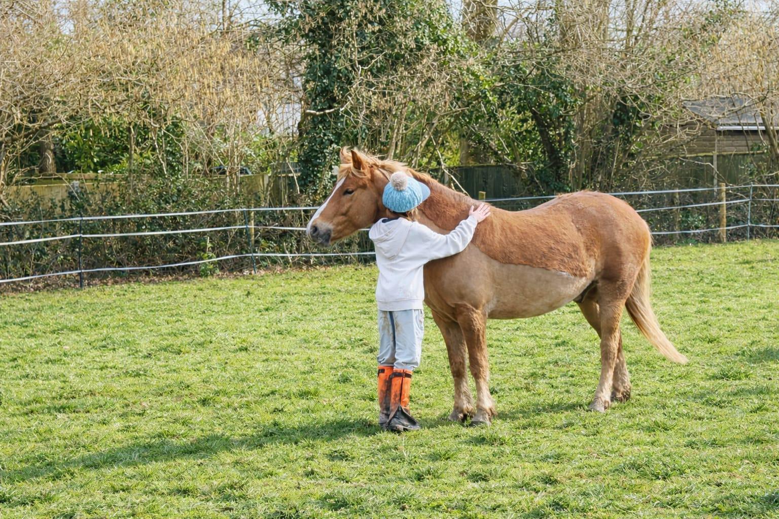 HD Horsemanship 1